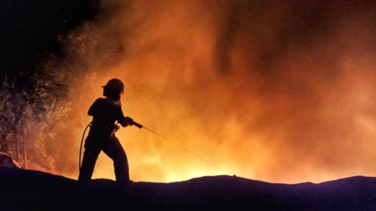Incendios forestales vs Quemas de basuras.