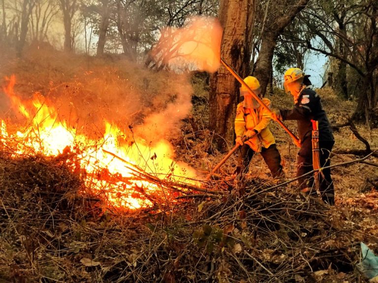 Prevenga los incendios forestales